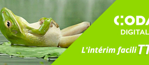 bandeau-newsletter-coda-facilitt